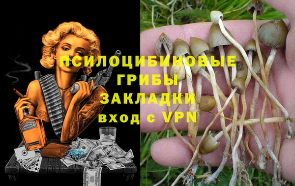эйфоретик Белоозёрский