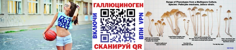 Псилоцибиновые грибы мицелий  Саяногорск 